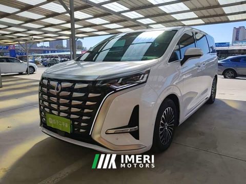 2024 Denza BYD Denza D9 DM-i 980 Four-Wheel Drive Flagship - ავტომობილი ჩინეთიდან