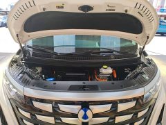 Denza BYD Denza D9 DM-i 980 Four-Wheel Drive Flagship - ფოტო 20