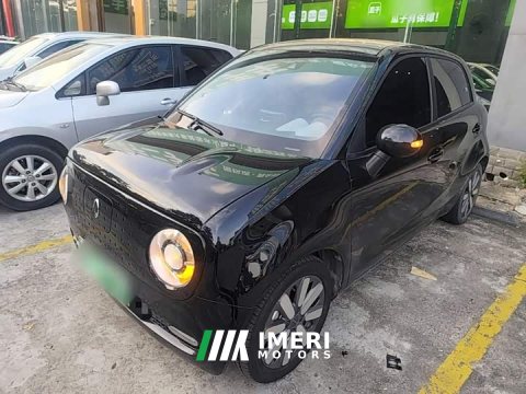 2021 ORA Black Cat 351km Luxury - ავტომობილი ჩინეთიდან