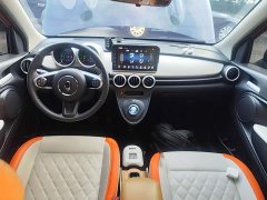 ORA Black Cat 351km Luxury - ფოტო 10