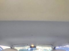 Changan Lumin 205km Pure Fragrance Edition - ფოტო 18