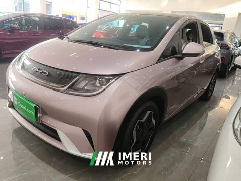 2022 BYD Dolphin 405km Fashion Edition - ავტომობილი ჩინეთიდან