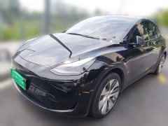 Tesla Model Y Rear-Wheel Drive - ფოტო 2