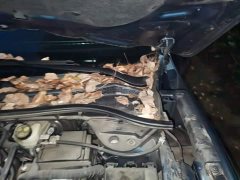 Ford Sharp 2020 EcoBoost 245 FWD Prestige - ფოტო 19
