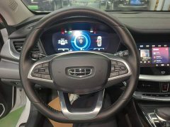 Geely Boyue New Energy 1.5T ePro Premium Edition - ფოტო 11