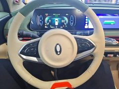 ORA Good Cat 401km Standard Range Deluxe LFP - ფოტო 11
