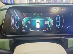 ORA Good Cat 401km Standard Range Deluxe LFP - ფოტო 12