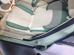 ORA Good Cat 401km Standard Range Deluxe LFP - ფოტო 15