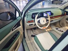ORA Good Cat 401km Standard Range Deluxe LFP - ფოტო 16