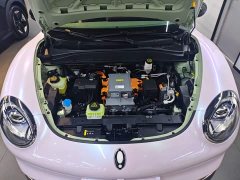 ORA Good Cat 401km Standard Range Deluxe LFP - ფოტო 20