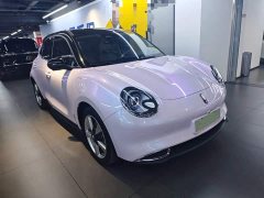 ORA Good Cat 401km Standard Range Deluxe LFP - ფოტო 4