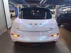 ORA Good Cat 401km Standard Range Deluxe LFP - ფოტო 6