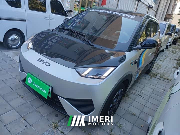 BYD Seagull Smart Driving Edition 305km Freedom Edition