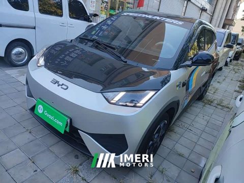 2025 BYD Seagull Smart Driving Edition 305km Freedom Edition - ავტომობილი ჩინეთიდან
