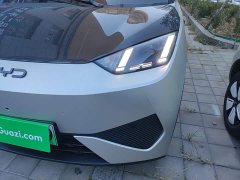 BYD Seagull Smart Driving Edition 305km Freedom Edition - ფოტო 18