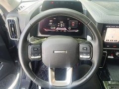 Great Wall Dachshund 1.5T DCT Two-Wheel Drive Malinois Edition - ფოტო 11