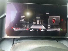 Great Wall Dachshund 1.5T DCT Two-Wheel Drive Malinois Edition - ფოტო 12