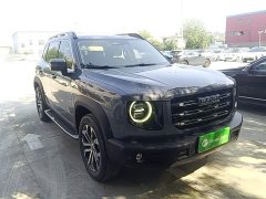 Great Wall Dachshund 1.5T DCT Two-Wheel Drive Malinois Edition - ფოტო 4