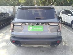 Great Wall Dachshund 1.5T DCT Two-Wheel Drive Malinois Edition - ფოტო 6