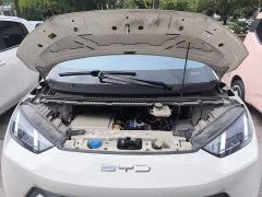 BYD Seagull Flying Edition - ფოტო 16