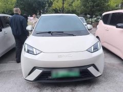 BYD Seagull Flying Edition - ფოტო 3
