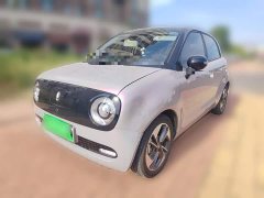ORA Black Cat 351km Comfort Edition Ternary Lithium - ფოტო 1