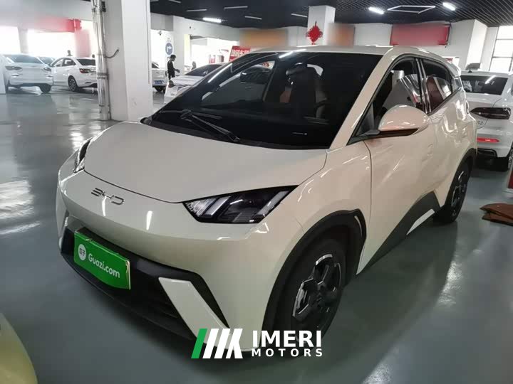 BYD Seagull Freedom Edition - ავტომობილი ჩინეთიდან