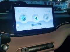 BYD Seagull Freedom Edition - ფოტო 13
