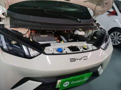 BYD Seagull Freedom Edition - ფოტო 20