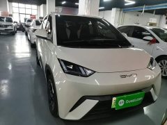 BYD Seagull Freedom Edition - ფოტო 3