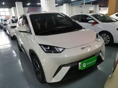 BYD Seagull Freedom Edition - ფოტო 4
