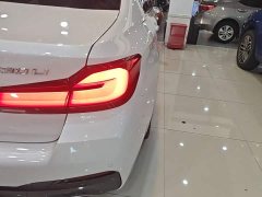 BMW 5 Series Facelift 530Li xDrive M Sport Package - ფოტო 8