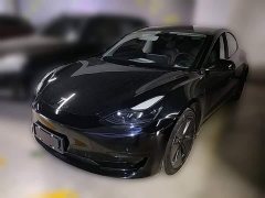 Tesla Model 3 Standard Range RWD Upgrade - ფოტო 3