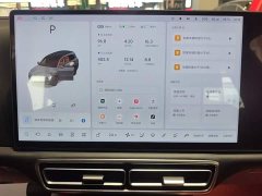 Li Auto L9 2022 Max - ფოტო 12