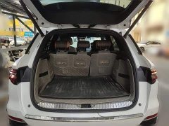 BYD Song Pro New Energy DM-i 51km Premium - ფოტო 10