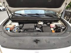 BYD Song Pro New Energy DM-i 51km Premium - ფოტო 11