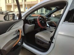 BYD Song Pro New Energy DM-i 51km Premium - ფოტო 14