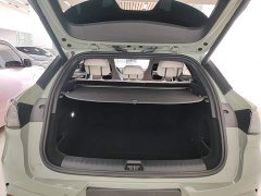 BYD Dolphin 06GT 2025 505 Wave Plus Edition - ფოტო 19