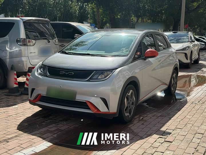 BYD Dolphin 405km Fashion Edition - ავტომობილი ჩინეთიდან