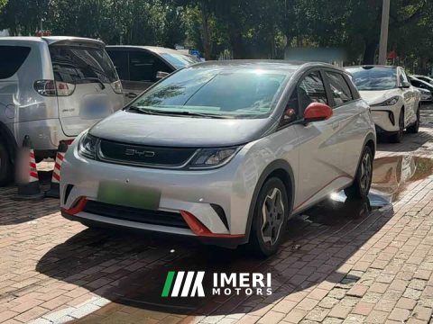 2022 BYD Dolphin 405km Fashion Edition - ავტომობილი ჩინეთიდან