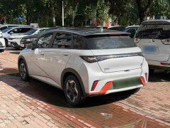 BYD Dolphin 405km Fashion Edition - ფოტო 12