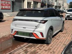BYD Dolphin 405km Fashion Edition - ფოტო 14