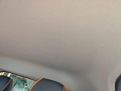 Baojun E100 2020 305KM Zhixing Edition - ფოტო 18