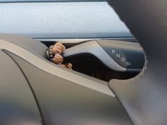 Tesla Model Y 2024 Rear-Wheel Drive - ფოტო 7