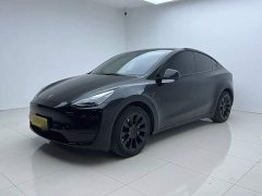 Tesla Model Y Rear-Wheel Drive - ფოტო 1
