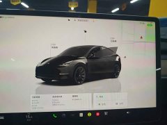 Tesla Model Y Rear-Wheel Drive - ფოტო 3