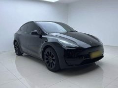 Tesla Model Y Rear-Wheel Drive - ფოტო 5