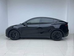 Tesla Model Y Rear-Wheel Drive - ფოტო 6