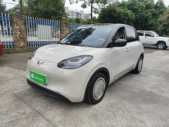 Wuling Binguo 333km Joy Edition - ფოტო 1