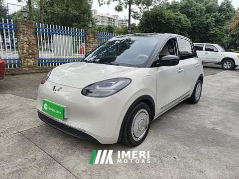 2023 Wuling Binguo 333km Joy Edition - ავტომობილი ჩინეთიდან